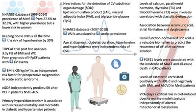 Editorial: The role of metabolic syndrome and disorders in cardiovascular disease